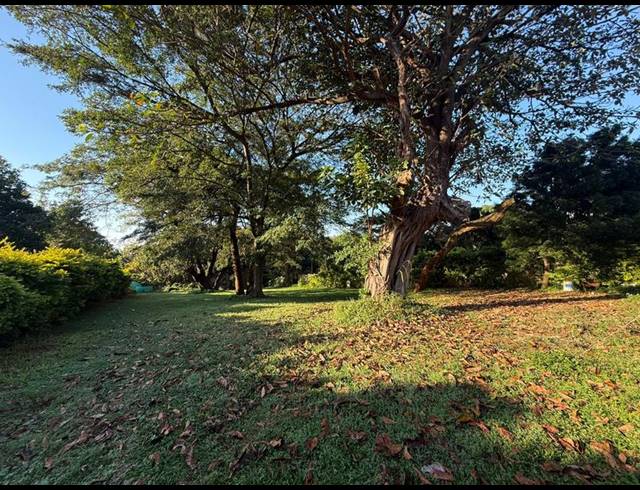 LAND FOR SALE IN MTUNZINI